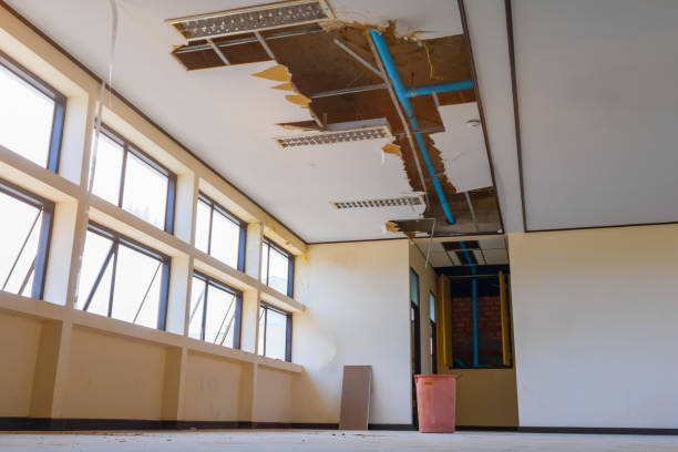 Best Ceiling water damage repair  in Elton, LA