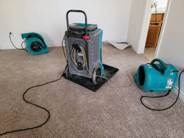 Carpet water damage restoration in LA