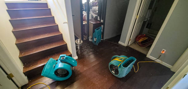 Best 24/7 water damage repair  in Elton, LA