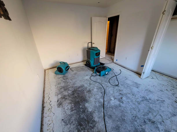 Best Sewage cleanup and water damage restoration  in Elton, LA