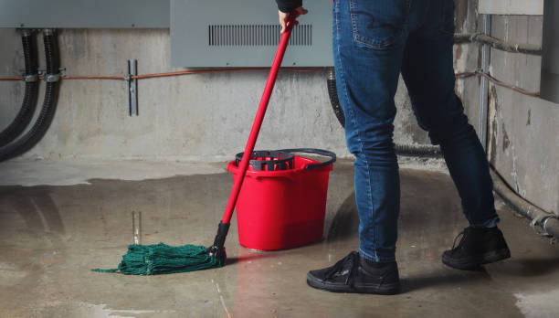 Best Basement water damage restoration  in Elton, LA
