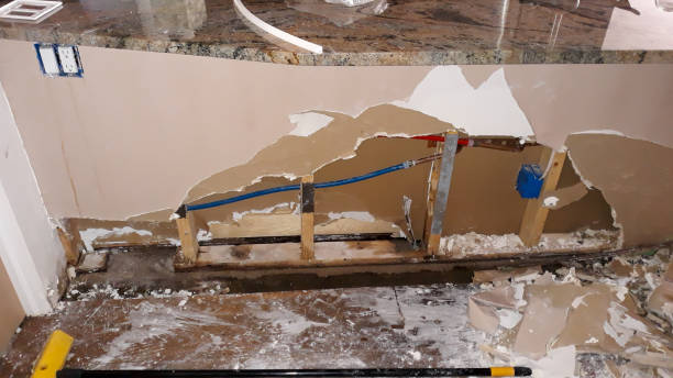 Best Local water damage restoration  in Elton, LA