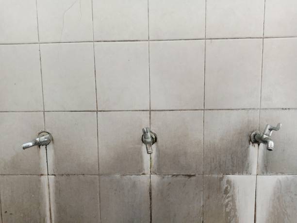 Best Fire Damage Restoration  in Elton, LA