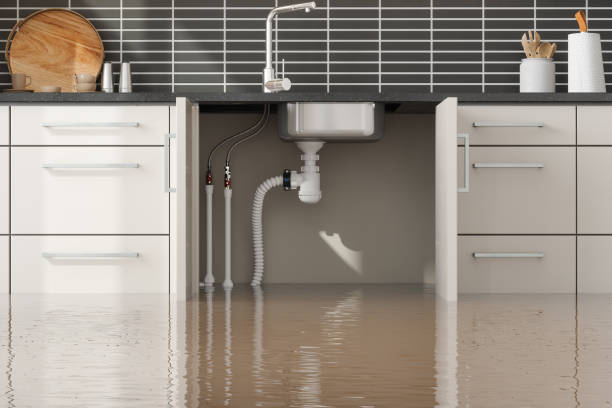 Best Water damage contractors near me  in Elton, LA