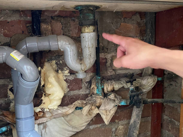 Best Water damage restoration near me  in Elton, LA